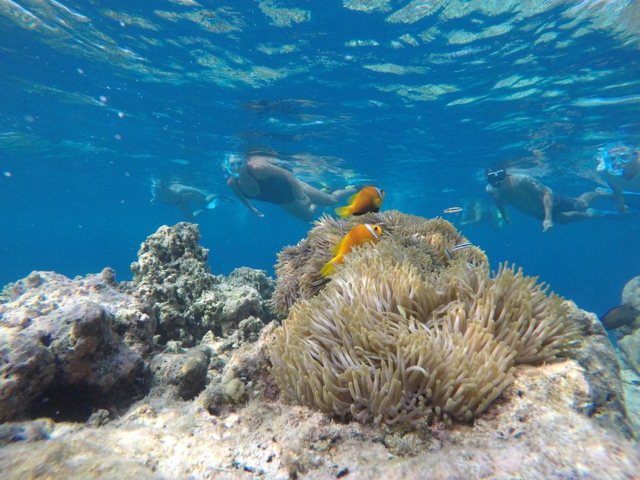 Zeestar Inn Maafushi Esterno foto