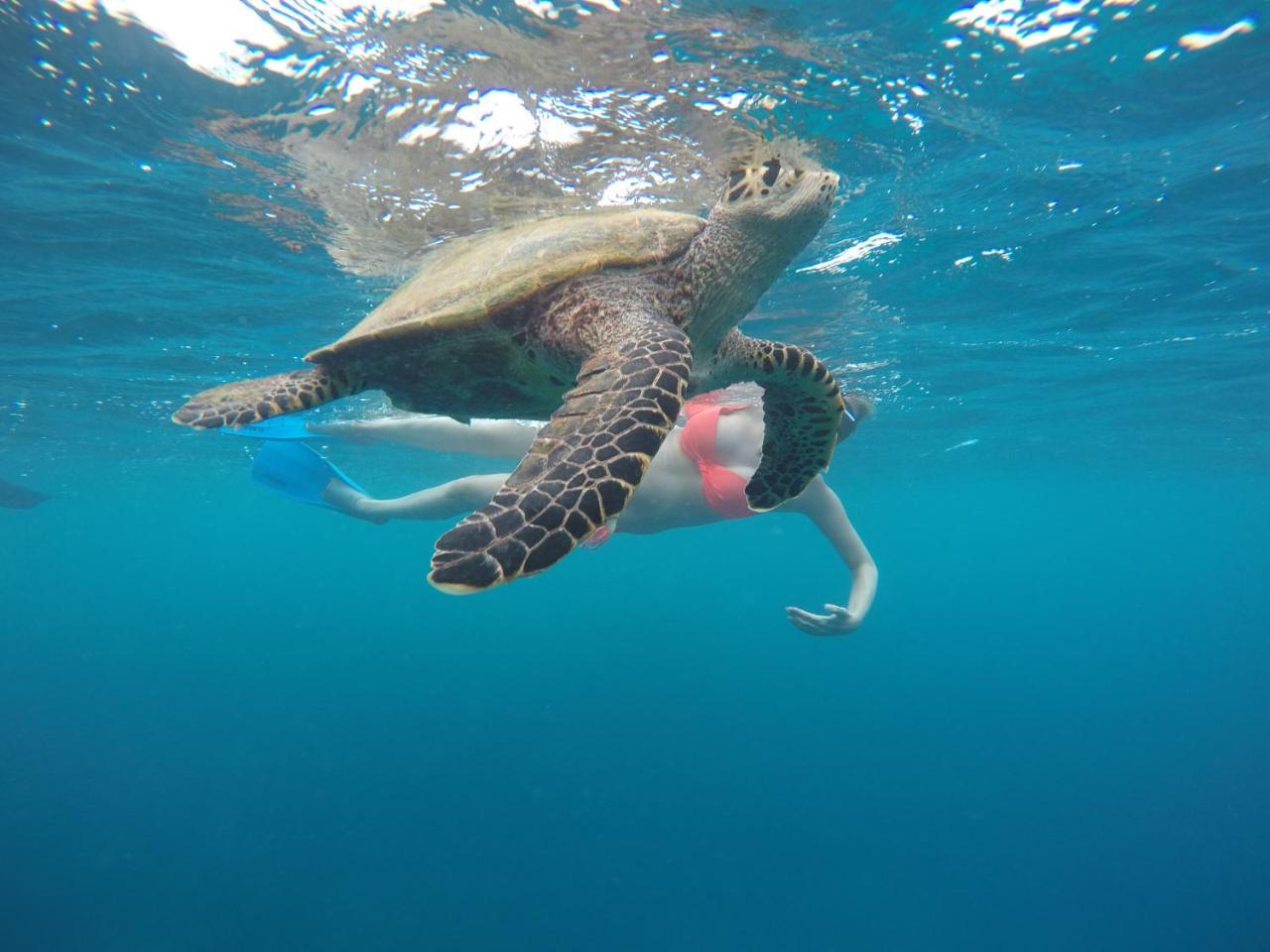 Zeestar Inn Maafushi Esterno foto